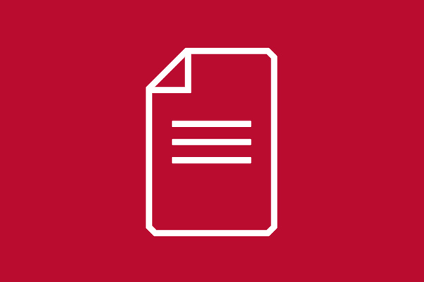 Document icon